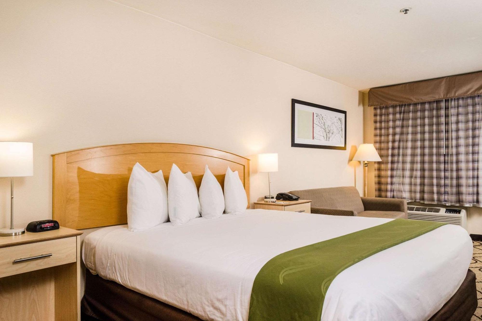 Quality & Hotel